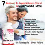Plantvital Berberine 1200mg (per 2 Capsules) Berberine Supplement for Immunity Support and Normal Cardiovascular Health - 120 Capsules, Non-GMO, Vegan, Gluten Free and Made in the USA