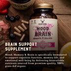 HEART & SOIL – 100% Grass Fed & Finished Beef Brain Supplement from Regenerative Cattle – for Cognitive Function & Memory – 3000mg Focus Supplement with Beef Organs – Glass Bottle – 180 Capsules