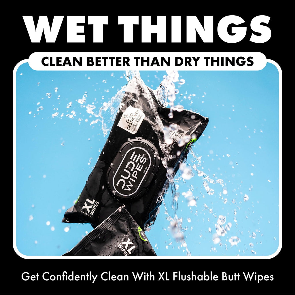 DUDE Wipes - Flushable Wipes for Adults -, Odor Destroyer XL - Deodorizing with Clean Scent - Up to 24 Hours of Odor-Destroying Technology,48 Count (Pack of 12)