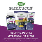 Nature's Way Sambucus Immune Lozenges, Zinc, Vitamin C, Elderberry, Immune Support*, USDA Organic, Honey Lemon Flavor, 24 Lozenges (Packaging May Vary) - 3 Pack