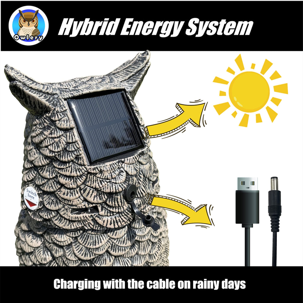 Owlery Brown Solar Owl with Motion Detector, Flashing Eyes, Spinning Head, Realistic Hooting and Silent Mode, Garden Owl, Outdoor Statue, Decoration for Home, Garden, Patio and Fence