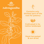 ORGANIC INDIA Ashwagandha Capsules - Organic Ashwagandha Supplement - Vegan Ashwagandha Root, Gluten-Free, Kosher, Non-GMO, Supports Stress Relief, Energy, and Sleep - 180 Capsules