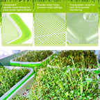 FELISTORY 6 Pack Green Seed Sprouter Trays with Lid, Soil-Free Cultivation Germination Tray, Nursery Tray with Planting Paper for Indoors or Outdoors