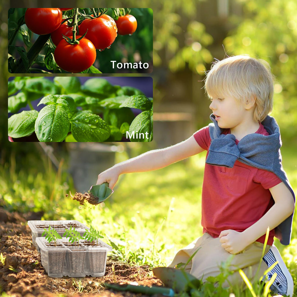 Bonviee 10-Pack Seed Starter Trays, Tall Dome, Base, 12-Cell Tray, Clear