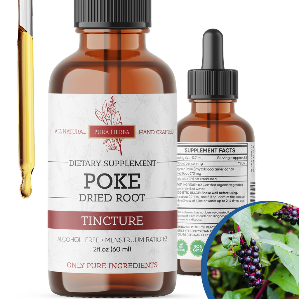 Pura Herba Organic Poke Root Tincture | Poke Root Extract Liquid | Herbal Supplement for Immune Support & Lymphatic Health | Vegan | Alcohol-Free | Non-GMO | Made in USA | 2 Fl Oz