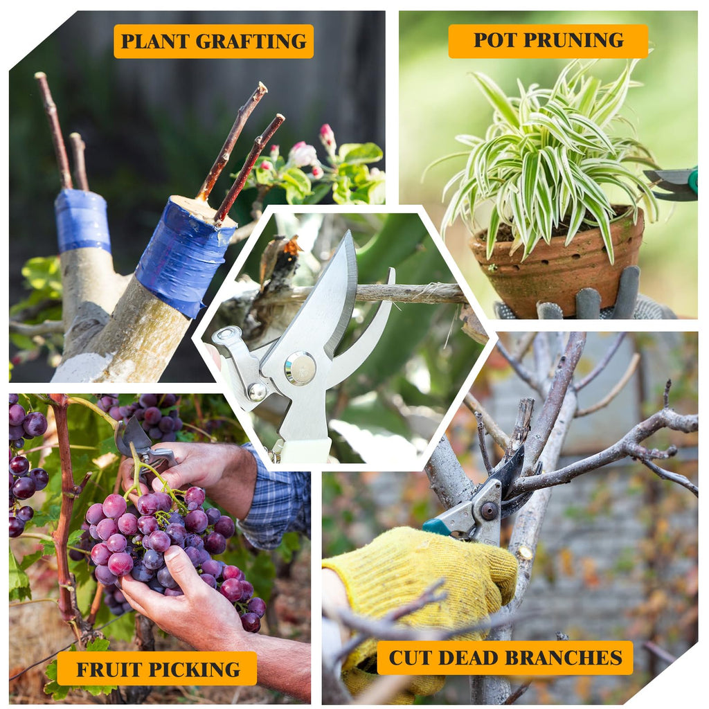 20 Pcs Pruning Shears for Gardening, Beige Garden Clippers Handheld Heavy Duty Plant Scissors Bypass Pruning Shears for Gardening Yard Hedge Flowers Tree Trimming Plant Cutter