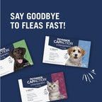 PetArmor CAPACTION Oral Flea Tablets Dogs 2-25 lbs, Nitenpyram, 6-Dose