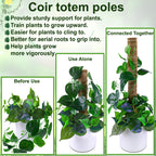 Fabulas Moss Pole 58.7 Inch - Monstera Plant Support 5 Pack, 17.5" and 12" Plant Stakes for Indoor Plants Coco Coir Moss Pole Sticks for Climbing Potted Live Plants, Pothos, Philodendron