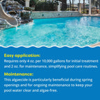In The Swim Super Algaecide for Above Ground or Inground Swimming Pools – Low Odor, Non-Foaming Preventative for Yellow/Mustard Algae in Swimming Pools - 7.1% Chelated Copper – 1 Gallon