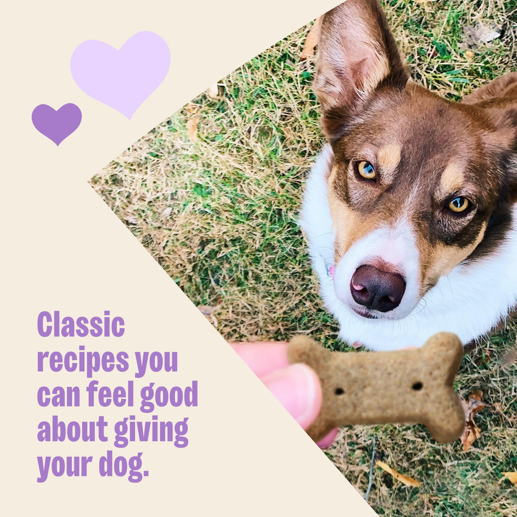 Wellness Old Mother Hubbard Classic Original Mix Dog Biscuits, Natural Training Treats, 4 Flavors, Small Size, 6 lb Bag