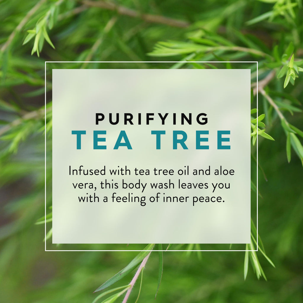 JASON Tea Tree Purifying Body Wash, For a Gentle Feeling Clean, 30 Fluid Ounces