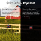 Kittmip Solar Control Light Nocturnal Animal Repeller Outdoor Deterrent Devices Light Sensor Animal Repellent for Skunk Deer Coyote Fox Raccoon Cat Garden Yard Farm Chicken Coop (12, Black)