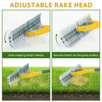 Thatch Rake, 15-Inch Steel Lawn Dethatcher with Handle, Heavy Duty Grass Cleaning Tool for Dead Grass and Soil Loosening, Versatile Yard and Garden Grooming (Black+Metallic Silver)