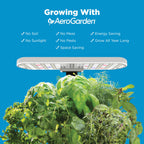 AeroGarden Harvest Lite, Cream