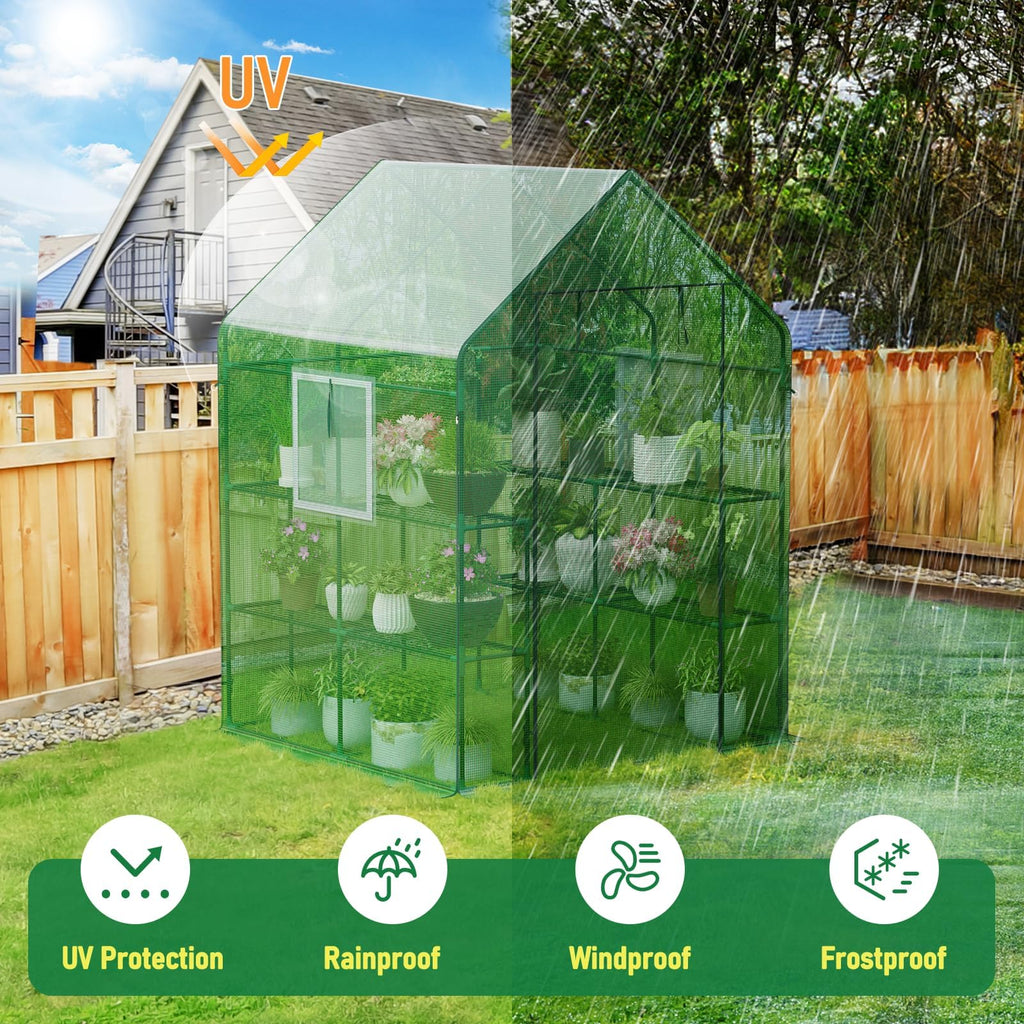 SPECILITE 56×56×78Inch Walk-in Greenhouse for Outdoors Garden Plant, Green