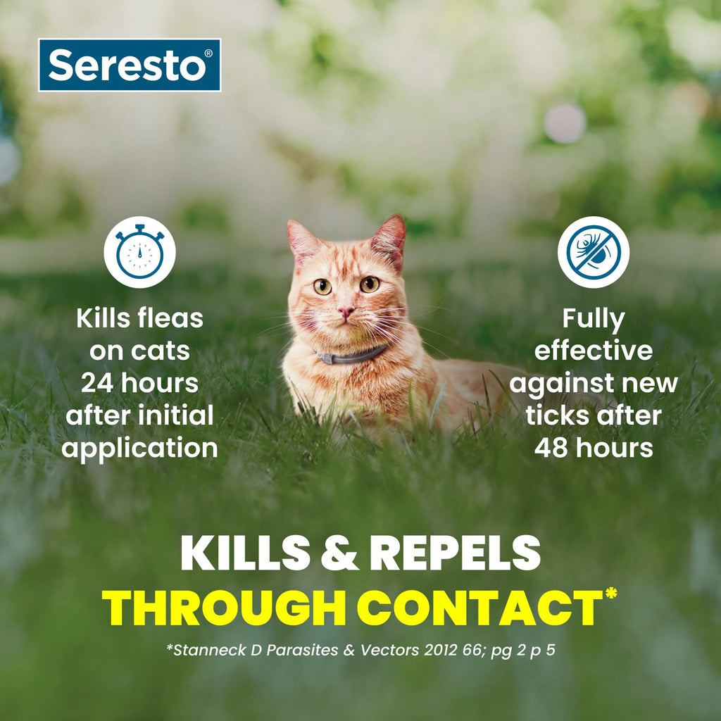 Seresto Cat Vet-Recommended Flea & Tick Treatment & Prevention Collar for Cats | 8 Months Protection