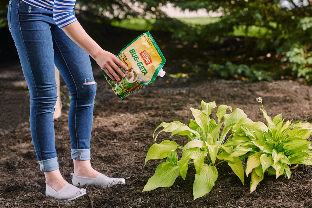 Ortho Bug-Geta Snail & Slug Killer2 - Slug Bait and Pest Control Stays Effective After Rain or Sprinkling For Up to 3 Weeks, 6 lb.