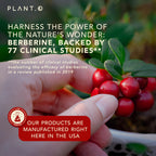 PLANT.O NUTRITION Berberine Supplement - 10xHigher Absorption Berberine HCI Complex with Bitter Lemon & Banaba Leaf - Cholesterol & Metabolic Clinically Researched Support - 60 Capsules Non-GMO