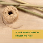 Cambaverd Bamboo Stakes 4ft, Thicker Plant Stakes with Garden Twine,20 Pack