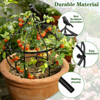 aboxoo Sturdy Metal Garden Obelisk Trellis, 11.5"x11.5"x18" Plant Support