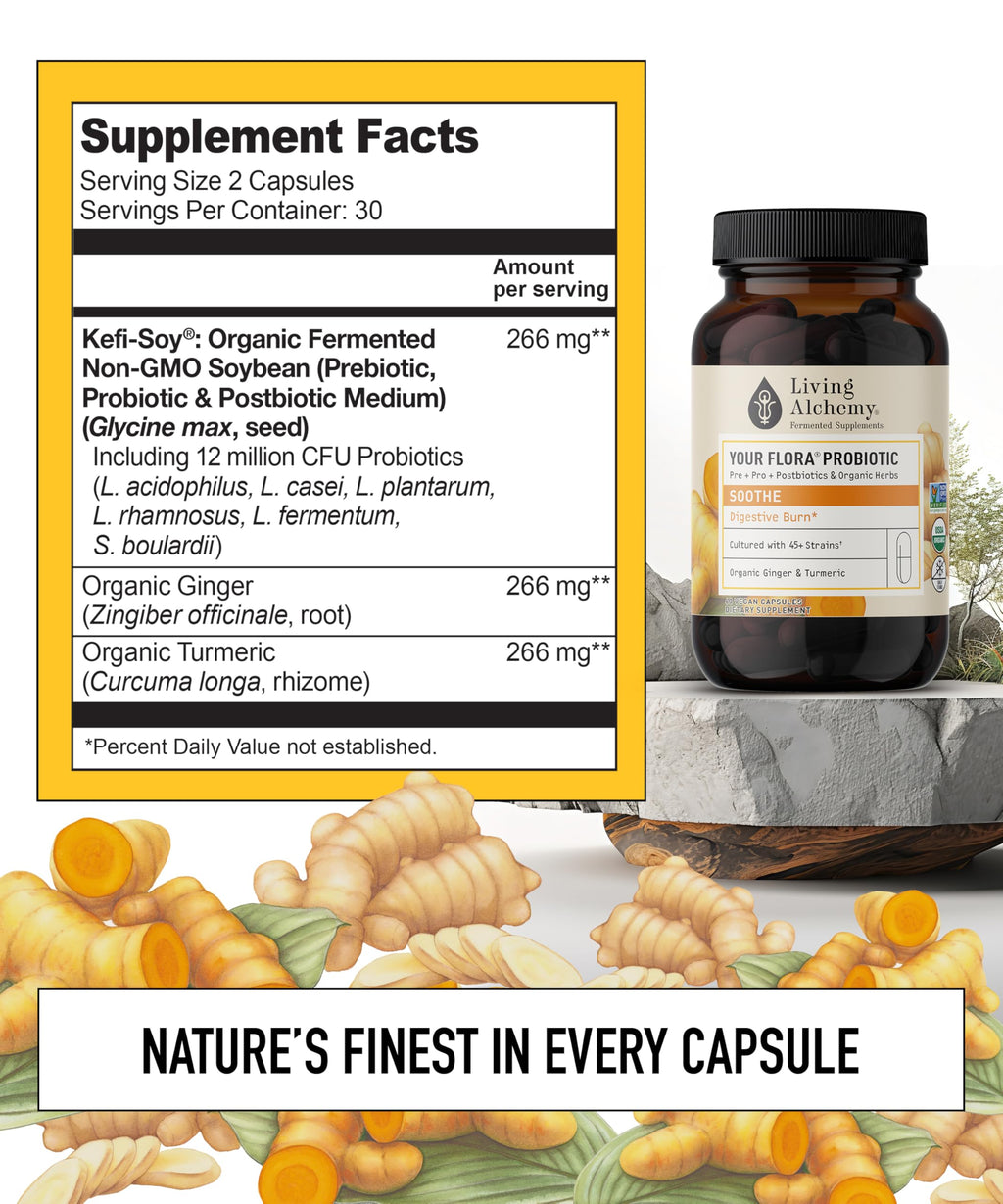 Your Flora Probiotic Soothe – Non-GMO Probiotics with Fermented Soybean, Ginger, & Turmeric for Gut Balance, Digestion, & Support – Prebiotics, Postbiotics, Digestive Enzymes – Living Alchemy, 60 Pcs