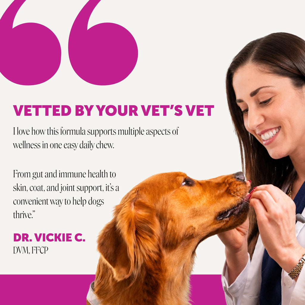 Pet Honesty Vet Recommended 10-in-1 Dog Multivitamin, 90 Ct, Peanut Butter