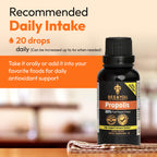 Bee and You Propolis Liquid Extract Drops, 30% Propolis, Ultra Pure, Immune Support Supplement, Sore Throat, Allergy Relief, Respiratory, Antioxidants, Keto, Paleo, Gluten-Free, 1 Fl Oz