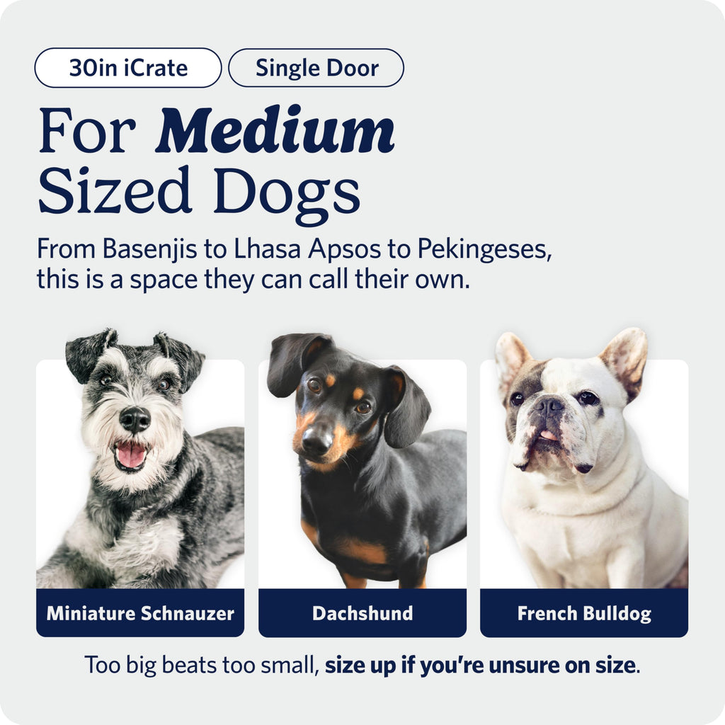 Midwest 30-Inch Single Door iCrate, for Medium Breeds, 21-40 lbs