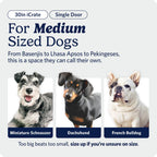 Midwest 30-Inch Single Door iCrate, for Medium Breeds, 21-40 lbs