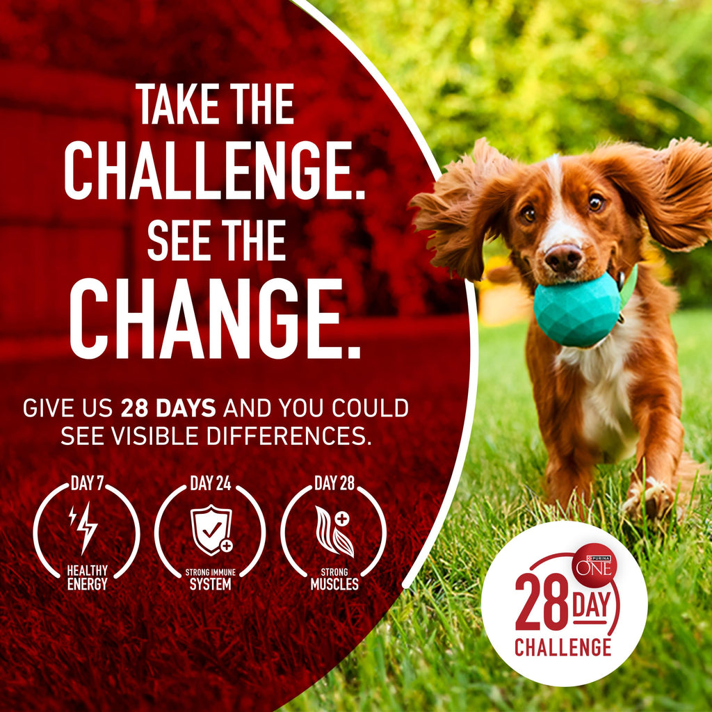 Purina ONE True Instinct Dry Dog Food, Real Turkey & Venison, 27.5 lb Bag
