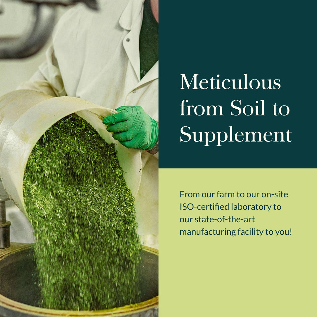 Gaia Herbs Ashwagandha Root - Stress Relief & Sleep Support Supplement - Supports Balanced Energy Levels & Positive Outlook* - 60 Vegan Liquid Phyto-Caps (30 Servings)