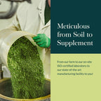 Gaia Herbs Ashwagandha Root - Stress Relief & Sleep Support Supplement - Supports Balanced Energy Levels & Positive Outlook* - 60 Vegan Liquid Phyto-Caps (30 Servings)