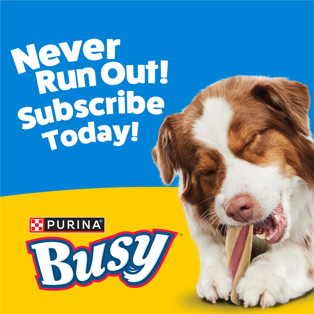 Purina Busy with Beggin Twisted Dog Treats, with Real Bacon, 10 ct Pouch
