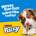 Purina Busy with Beggin Twisted Dog Treats, with Real Bacon, 10 ct Pouch