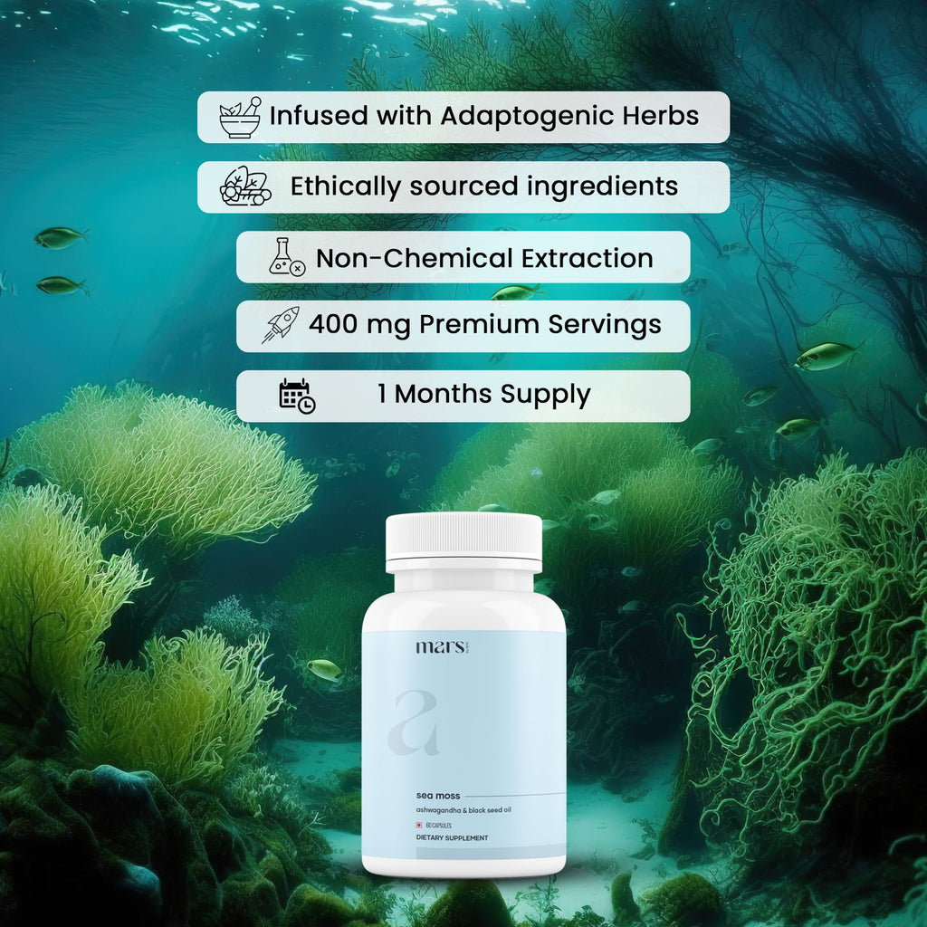 Mars Sea Moss Caps Surge Natural (60N) | Packed with 84 Essential Minerals | Powered with Black Seed Oil, Surgemax & Vitamin D3 | Overall Well-Being - Pack of 3