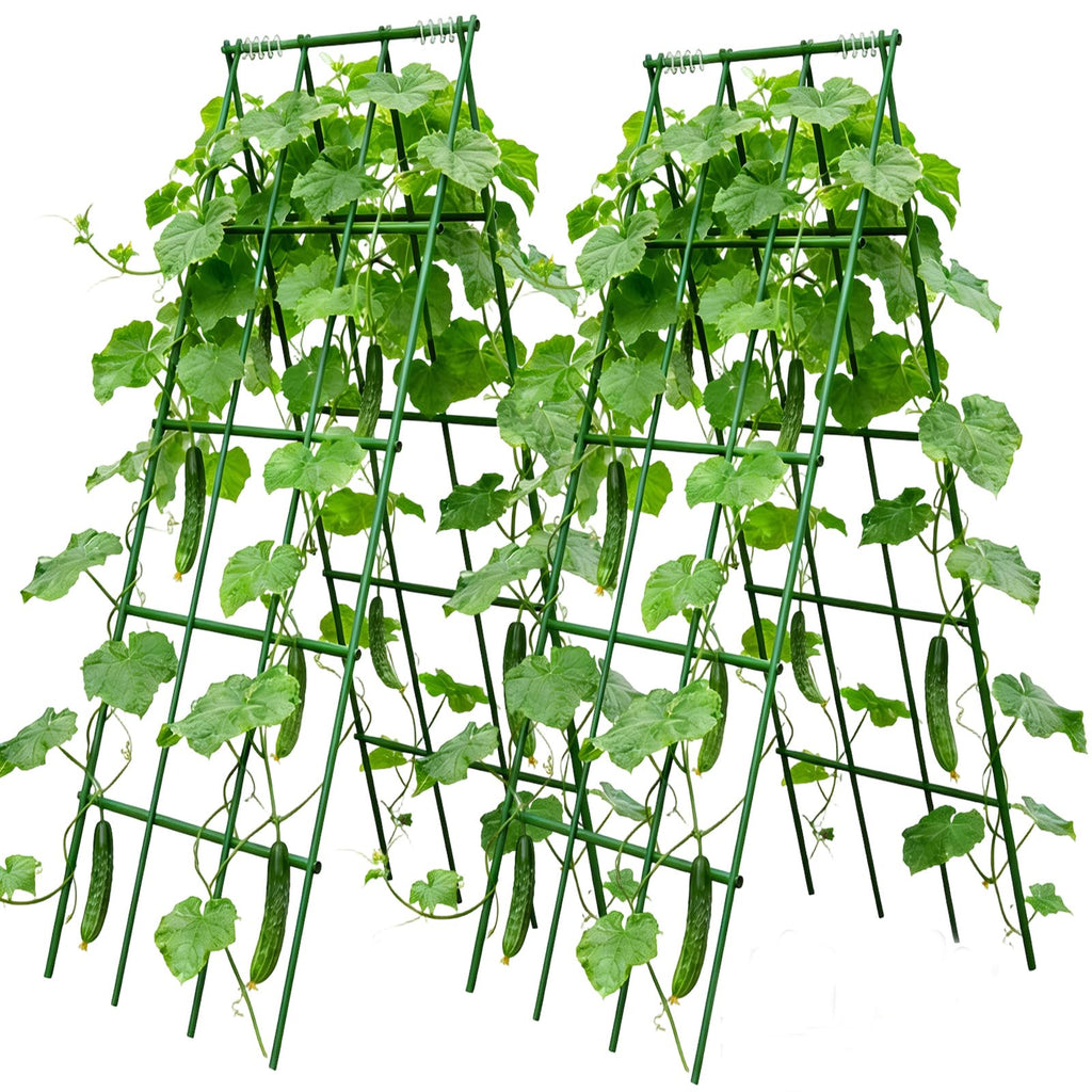 Heavy Duty Cucumber Trellis,2 Pack,No AssemblyGarden Trellis for Climbing Plants Outdoor,Cucumber Trellis, A-Frame Vegetable Frame,Vegetables Peas Beans Squash Cucumber