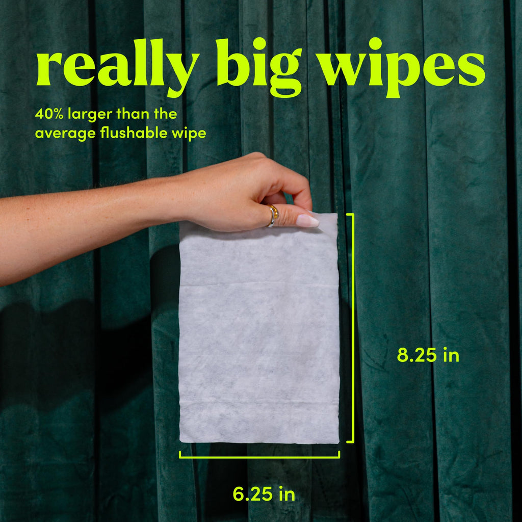 Goodwipes Flushable Butt Wipes Made with Vitamin E & Aloe - Soft & Gentle Wet Wipe Dispenser for Home Use, Septic & Sewer Safe - Largest Adult Toilet Towelettes - Variety Pack, 240 Count (4 Packs)