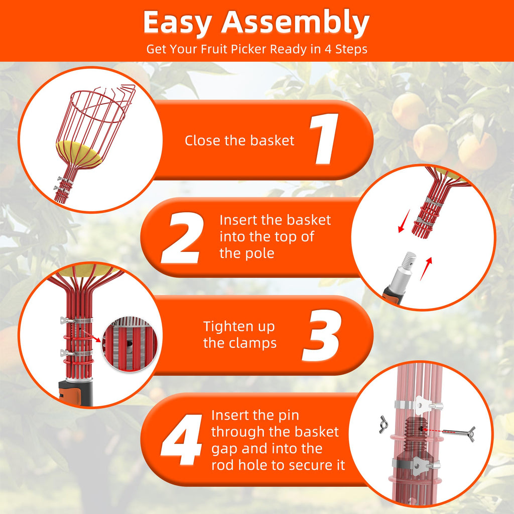 TONYINGO 30FT Reach Fruit Picker with Basket, Telescoping Aluminum Pole 5-24FT, Dual Flip-Lock & Screw Fixing Design for Apple Orange Mango Avocado Lemon Picking