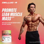 Cellucor Creatine Powder, Watermelon Flavor - Increases Strength, Lean Muscle Mass & Endurance, Micronized Creatine for Fast Absorption, 5g Creatine per Serving, 50 Servings
