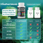 PrimalPeak Naturals Sea Moss Black Seed Oil Ashwagandha Ginger Burdock Bladderwrack Turmeric & Vitamin C Vitamin D3 with ACV Elderberry Chlorophyll Dandelion Yellow Dock Vegan Capsules - 120 Count