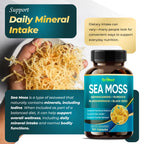 Premium Sea Moss with Ashwagandha, Burdock Bladderwrack, Black Seed for Immune System, Skin, Digestion & Energy (150 Count (Pack of 1))