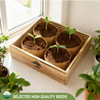 Bonsai Tree Starter Kit for Beginners - Indoor Live Plant Gardening Adult Craft DIY Kits - Unique Christmas, Birthday, White Elephant Gifts for Women, Men, Boys & Girls
