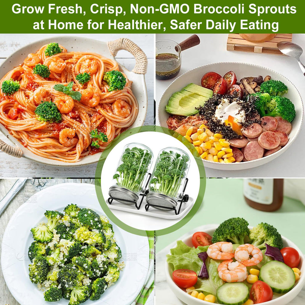 Broccoli Sprout Growing Kit, 2 Large 1000ML Wide Mouth Mason Jars with Sprout Lids, Stainless Steel Stand, Blackout Sleeves, Cleaning Brush, Drain Tray- Grow Broccoli, Alfalfa & Bean Microgreens