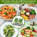 Broccoli Sprout Growing Kit, 2 Large 1000ML Wide Mouth Mason Jars with Sprout Lids, Stainless Steel Stand, Blackout Sleeves, Cleaning Brush, Drain Tray- Grow Broccoli, Alfalfa & Bean Microgreens