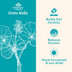 ORGANIC INDIA Gotu Kola Herbal Supplement - Adaptogen for Brain & Nervous System Support, Vegan, Gluten-Free, Kosher, USDA Certified Organic, Non-GMO, Calming, Mental Clarity - 90 Capsules