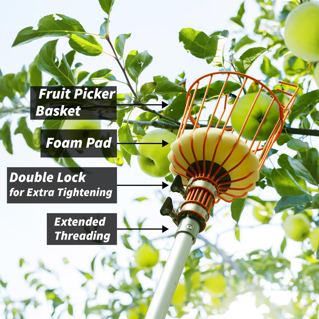 EXTEND-A-REACH 5-30 ft Telescoping Fruit Picker Pole with Basket
