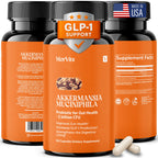 Morvits Akkermansia Probiotic for Cravings & Gut Health | GLP-1 Support Supplement with Akkermansia Muciniphila – 2 Billion CFU, Inulin Prebiotic Fiber – 60 Capsules, 1 Pack