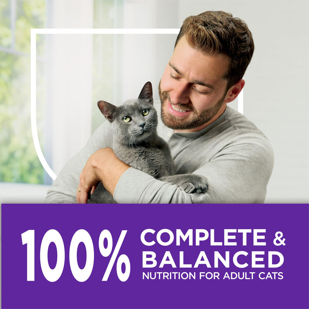 Purina Cat Chow Gentle Sensitive Stomach & Skin Dry Cat Food, 13 lb Bag