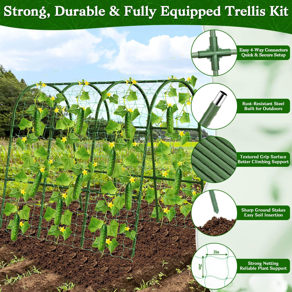 Cucumber Trellis for Raised Bed, Garden Arch Trellis for Climbing Plants Outdoor, Metal Garden Trellis for Spring Vegetables, Cucumber Trellis for Tomato, Bean, Pea, Grape, Plant