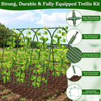 Cucumber Trellis for Raised Bed, Garden Arch Trellis for Climbing Plants Outdoor, Metal Garden Trellis for Spring Vegetables, Cucumber Trellis for Tomato, Bean, Pea, Grape, Plant